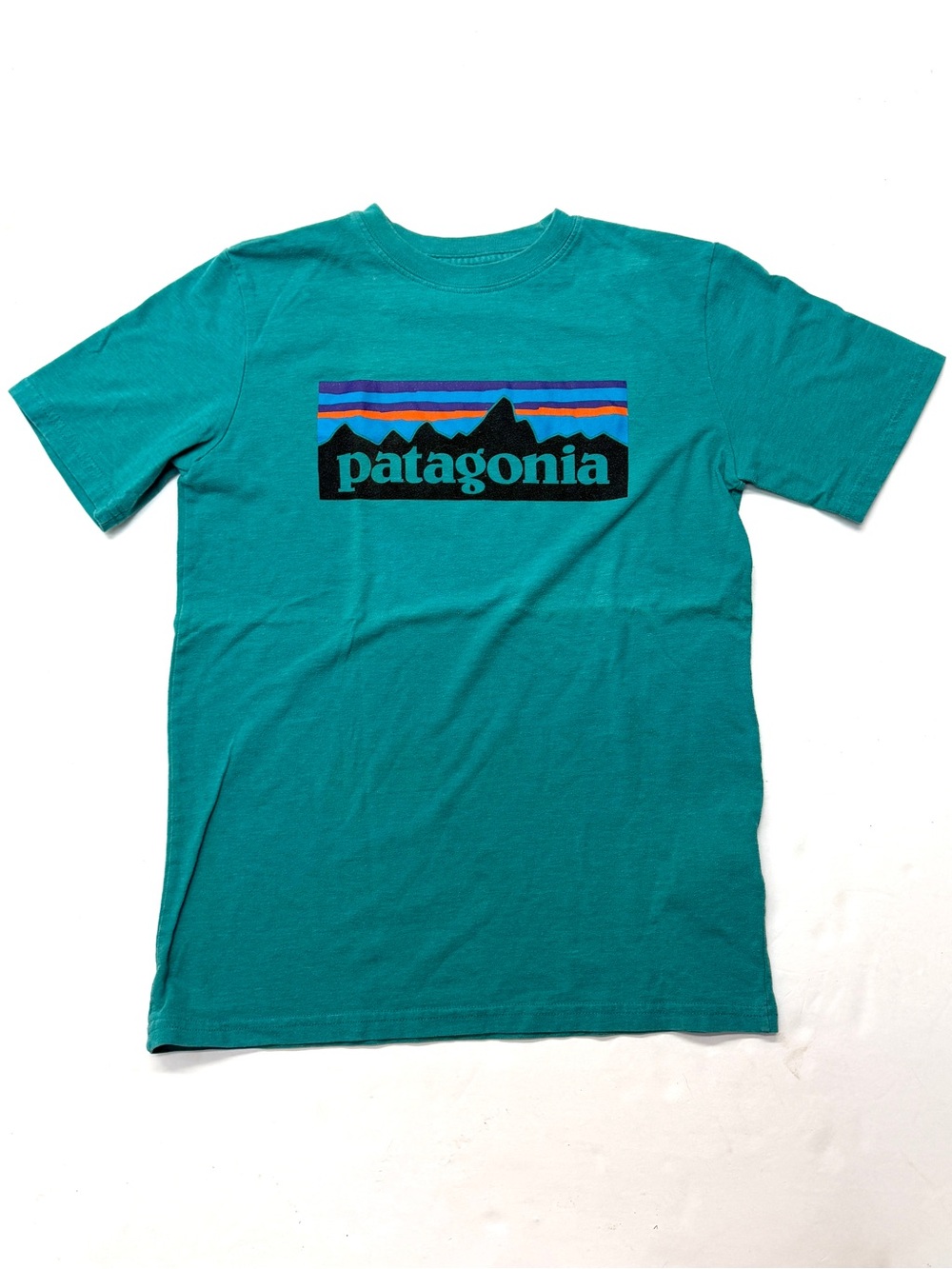 Patagonia Teal Green Kids Short Sleeve Tee with Multicolor Mountain Logo
